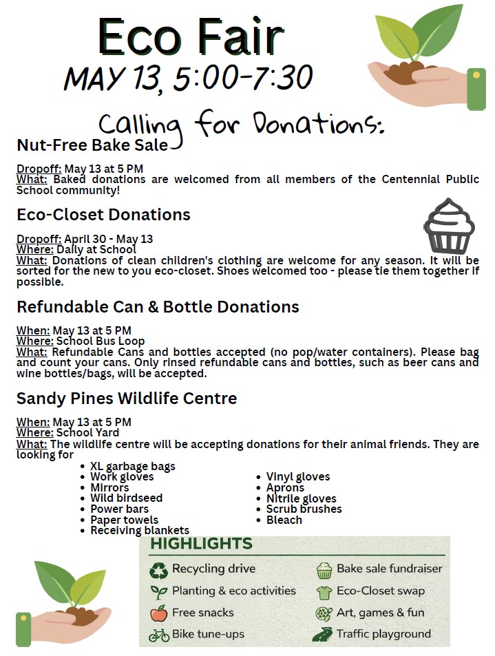 Eco Fair Poster SAC Event