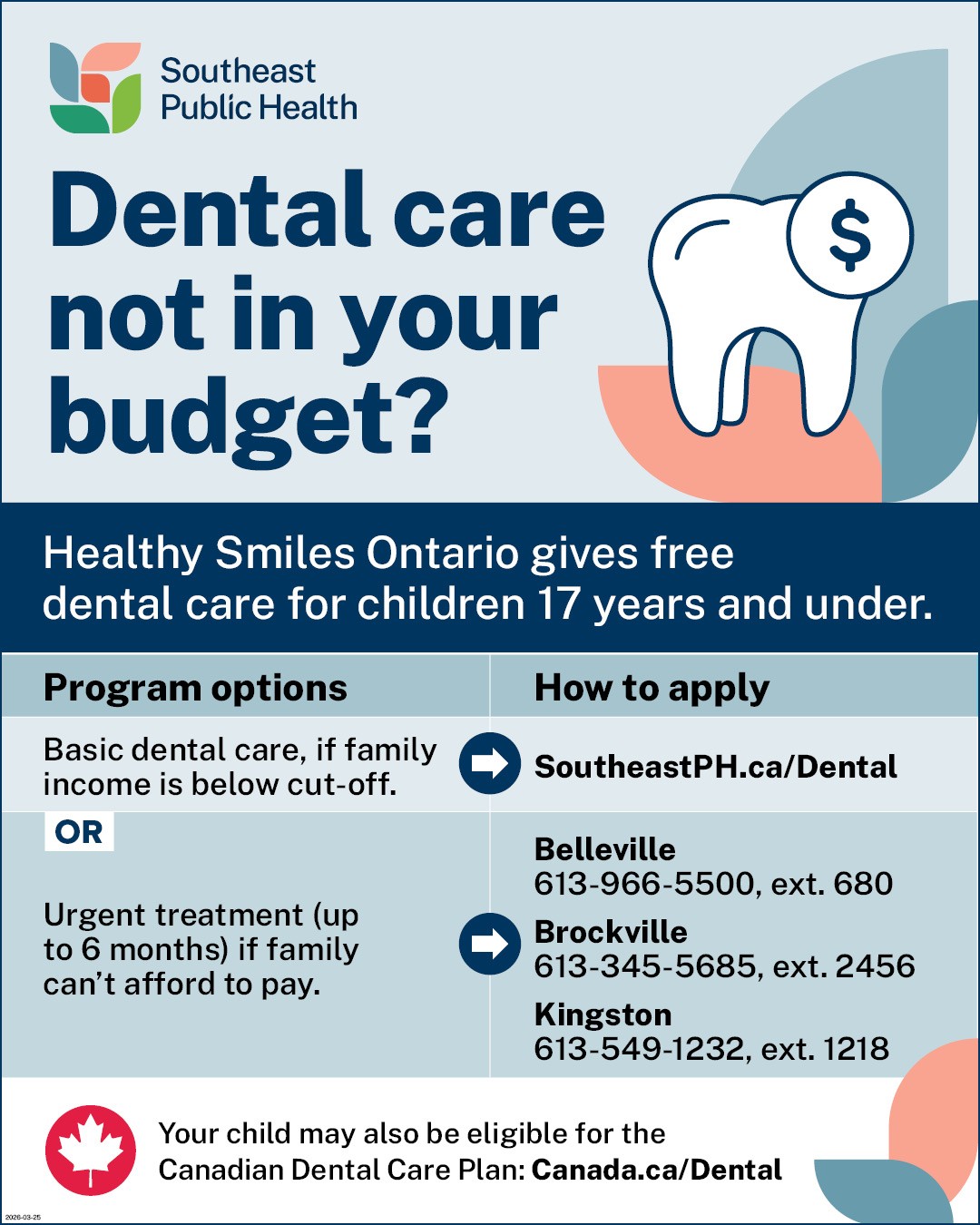 Dental care insert